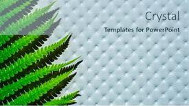  Presentation with fern - Cool new presentation design with fern-leaves-of-exotic-plant backdrop and a lemonade colored foreground