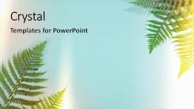  Presentation with fern - Colorful slide set enhanced with fern leaves on blue background backdrop and a sky blue colored foreground