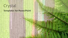  Presentation with fern - Presentation theme enhanced with fern-leaves-on-colored-background background and a soft green colored foreground