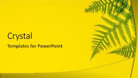  Presentation with leaves flat lay - Slide set featuring fern leaves on yelow background background and a light gray colored foreground