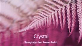  Presentation with tropical forest - Cool new slide set with fern lilac leaf in tropical backdrop and a violet colored foreground