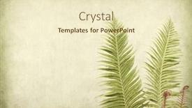  Presentation with antique paper texture - Cool new PPT layouts with fern-on-antique-cracked-paper backdrop and a cream colored foreground