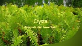  Presentation with natural gas power plant - Audience pleasing theme consisting of fern plants as natural background backdrop and a tawny brown colored foreground