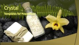  Presentation with fern - Amazing PPT layouts having fern with yellow orchid and salt in glass with soap on zen stones background backdrop and a tawny brown colored foreground