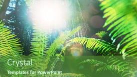 Presentation with fern - Beautiful PPT theme featuring fern backdrop and a tawny brown colored foreground