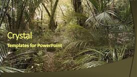  Presentation with ferns - Colorful slide deck enhanced with ferns and vines in tropical backdrop and a  colored foreground