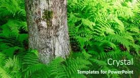  Presentation with ferns - Cool new PPT theme with audubon - ferns around a tree trunk backdrop and a forest green colored foreground