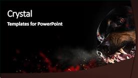  Presentation with black gold border vignette - PPT layouts featuring ferocious rottweiler barking mad background and a black colored foreground