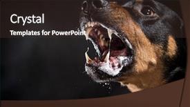 Presentation with black hvac - Theme enhanced with ferocious rottweiler barking mad background and a tawny brown colored foreground