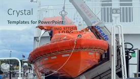  Presentation with moss - 