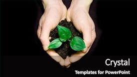  Presentation with black wedding holding hands - Audience pleasing slides consisting of fertile soils - hands holding sapling in soil backdrop and a black colored foreground