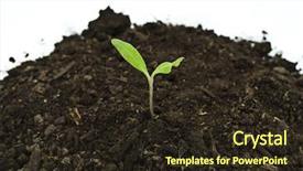  Presentation with sprout - Presentation theme with fertile soils - tomato sprout in soil background and a  colored foreground