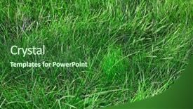  Presentation with beautiful green - Amazing slides having fertilisation - beautiful fresh green grass summer backdrop and a  colored foreground