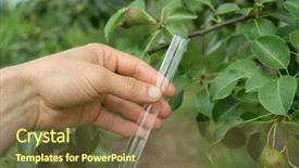  Presentation with test - Slides consisting of fertilizer chemistry - test tube water in hand background and a tawny brown colored foreground