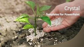  Presentation with soil fertilizer - Presentation theme consisting of female hand with fertilizer background and a coral colored foreground
