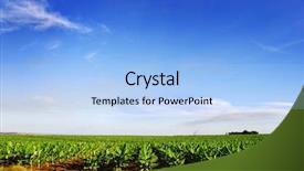  Presentation with fertilizer production - Beautiful presentation theme featuring fertilizer production - banana plantation against blue sky backdrop and a light blue colored foreground