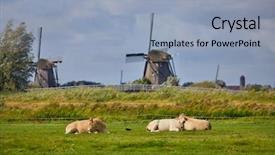  Presentation with fertilizer production - Beautiful slides featuring fertilizer production - cows lying in the grass backdrop and a light blue colored foreground