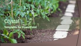  Presentation with fertilizer organic - PPT layouts having fertilizer production - little organic bio permaculture garden background and a tawny brown colored foreground