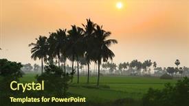  Presentation with andhra pradesh - Colorful PPT theme enhanced with fertilizer production - paddy fields landscape in andhra backdrop and a tawny brown colored foreground