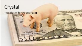  Presentation with pig - PPT theme with fertilizer production - pig on dollars banknotes background and a  colored foreground