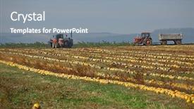  Presentation with field - Cool new presentation theme with fertilizer production - rows of pumpkins backdrop and a gray colored foreground
