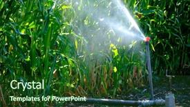  Presentation with fertilizer production - Theme with fertilizer production - sprinkers irrigating corn crops green background and a forest green colored foreground