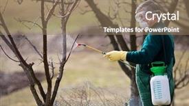  Presentation with fertilizer - PPT theme consisting of fertilizer to his fruit background and a coral colored foreground