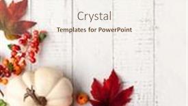 Slides enhanced with festive-autumn-decor-from-pumpkins 