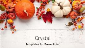  Presentation with flat - Audience pleasing slide set consisting of festive-autumn-decor-from-pumpkins backdrop and a cream colored foreground