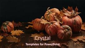  Presentation with halloween pumpkins thanksgiving day - Colorful PPT theme enhanced with festive autumn still life with pumpkins and leaves on wooden table on black background concept of autumn harvest happy thanksgiving day or halloween backdrop and a wine colored foreground