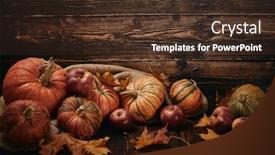  Presentation with halloween pumpkins thanksgiving day - Amazing presentation design having happy thanksgiving day or halloween backdrop and a tawny brown colored foreground