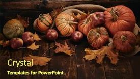  Presentation with halloween pumpkins thanksgiving day - Presentation theme consisting of happy thanksgiving day or halloween background and a wine colored foreground