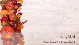  Presentation with halloween pumpkins thanksgiving day - Audience pleasing slide deck consisting of happy thanksgiving day or halloween backdrop and a lemonade colored foreground