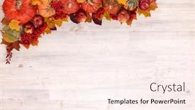  Presentation with halloween pumpkins thanksgiving day - Slide set featuring festive autumn still life with pumpkins red apples berries and leaves on light wooden background top view with copy space concept of autumn harvest happy thanksgiving day or halloween background and a pink colored foreground
