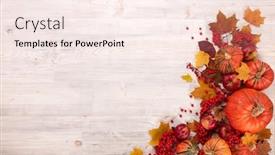  Presentation with halloween pumpkins thanksgiving day - Amazing presentation design having festive autumn still life with pumpkins red apples berries and leaves on light wooden background top view with copy space concept of autumn harvest happy thanksgiving day or halloween backdrop and a sky blue colored foreground