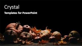  Presentation with halloween pumpkins thanksgiving day - PPT layouts enhanced with festive autumn still life with pumpkins red apples and leaves on dark wooden table on black background with copy space concept of autumn harvest happy thanksgiving day or halloween background and a black colored foreground