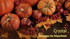  Presentation with halloween pumpkins thanksgiving day - Slide set featuring festive autumn still life with pumpkins red apples berries and leaves on dark wooden background top view with copy space concept of autumn harvest happy thanksgiving day or halloween background and a tawny brown colored foreground