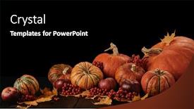  Presentation with halloween pumpkins thanksgiving day - PPT theme enhanced with festive autumn still life with pumpkins red apples berries and leaves on wooden table on black background with copy space concept of autumn harvest happy thanksgiving day or halloween background and a black colored foreground