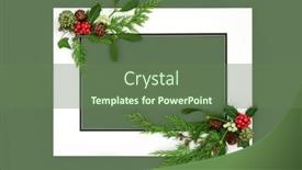  Presentation with holly christmas frame - Presentation theme with festive-christmas-winter-flora and a tawny brown colored foreground
