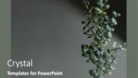  Presentation with home garden - Colorful presentation enhanced with festive-decoration-home-japanese-garden backdrop and a gray colored foreground