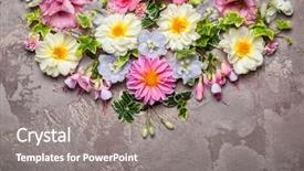  Presentation with chemistry flower - Theme having festive flower composition overhead view background and a gray colored foreground