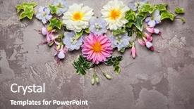  Presentation with flower 3d animation - PPT theme having festive flower composition overhead view background and a gray colored foreground