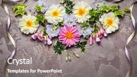  Presentation with festive - PPT theme consisting of festive flower composition with ribbon background and a gray colored foreground
