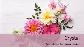  Presentation with festive - Amazing slides having festive flower composition backdrop and a coral colored foreground