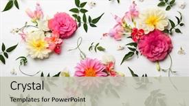  Presentation with festive - Presentation theme featuring festive flower composition background and a light gray colored foreground