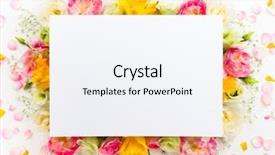  Presentation with flower border - Presentation theme having festive flower concept beautiful floral background and a sky blue colored foreground