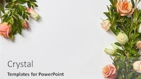  Presentation with light roses - Slide deck consisting of festive-plant-corner-frame background and a white colored foreground