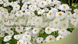  Presentation with headaches - PPT theme with kids books - girl reading a picture book background and a coral colored foreground.