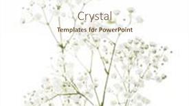  Presentation with breath - PPT layouts consisting of few-twigs-with-small-white background and a cream colored foreground