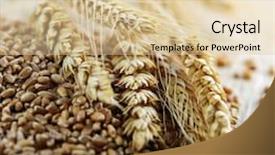  Presentation with whole grain flour - PPT theme consisting of fiber foods - closeup on pile of organic background and a lemonade colored foreground